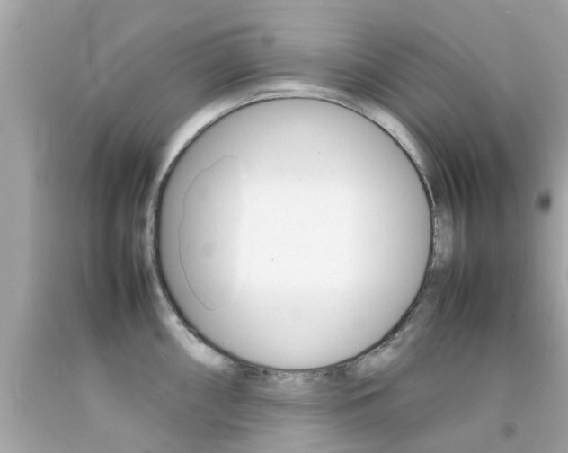 X0000092091098200709121121
