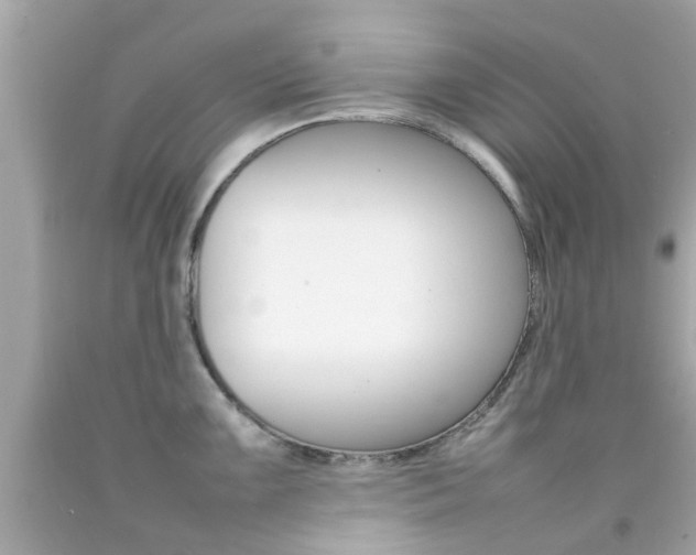 X0000092091099200709121121
