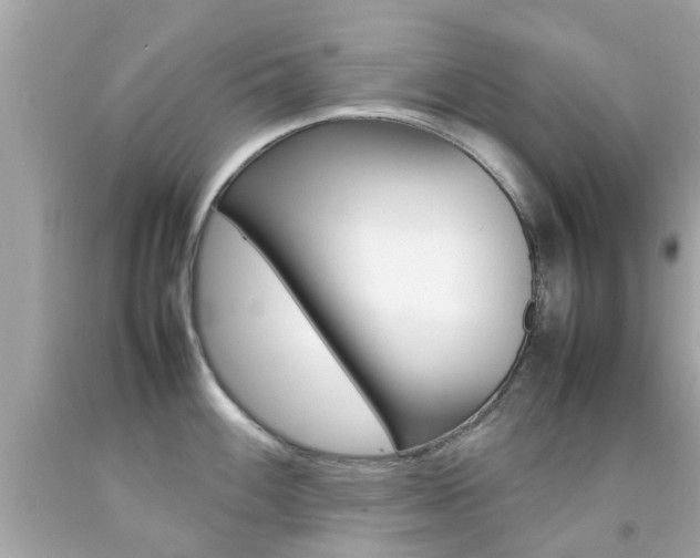 X0000092091100200709121121