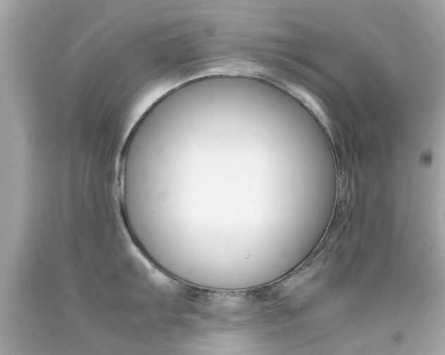 X0000092091103200709121121