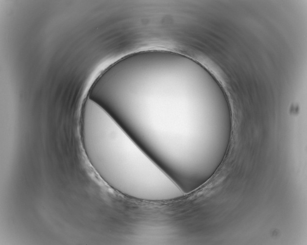 X0000092091104200709121121