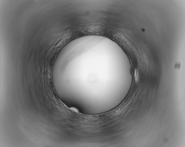 X0000092091107200709121120