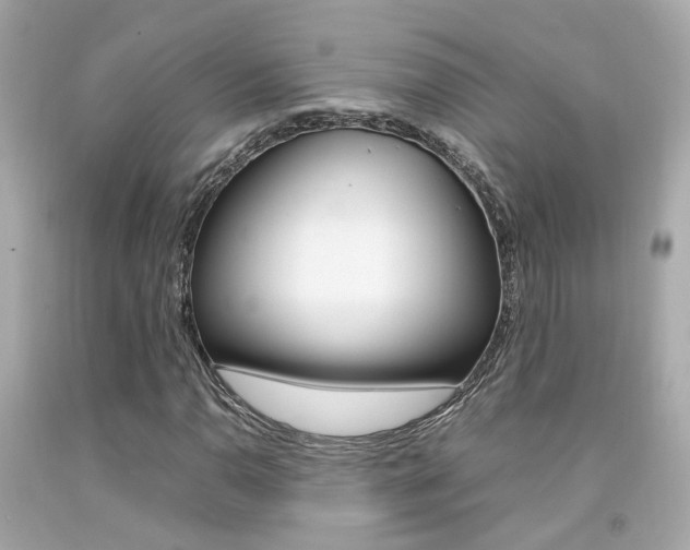 X0000092091110200709121120