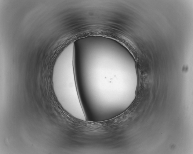 X0000092091111200709121120