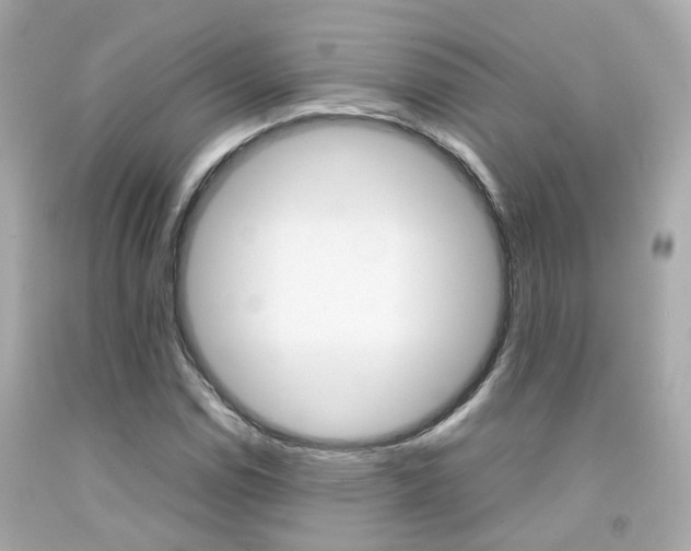 X0000092091114200709121120