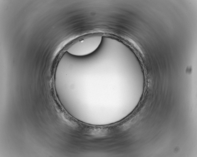 X0000092091117200709121120