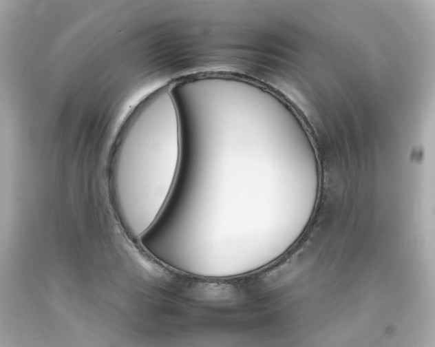 X0000092091119200709121120
