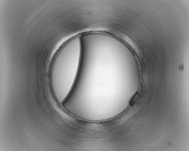 X0000092091124200709121120