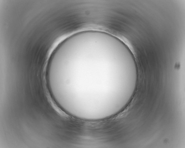 X0000092091128200709121120