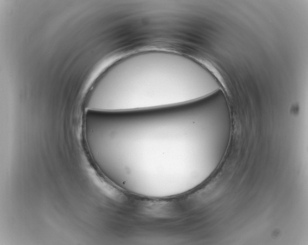 X0000092091131200709121120