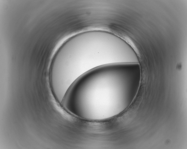 X0000092091132200709121120