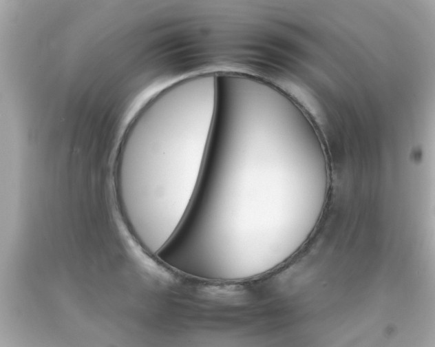 X0000092091133200709121120