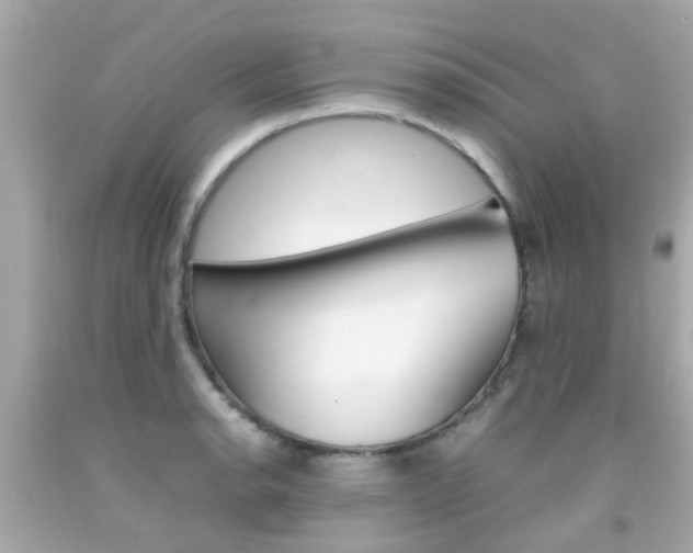 X0000092091134200709121120