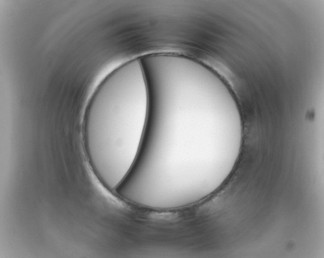X0000092091135200709121120