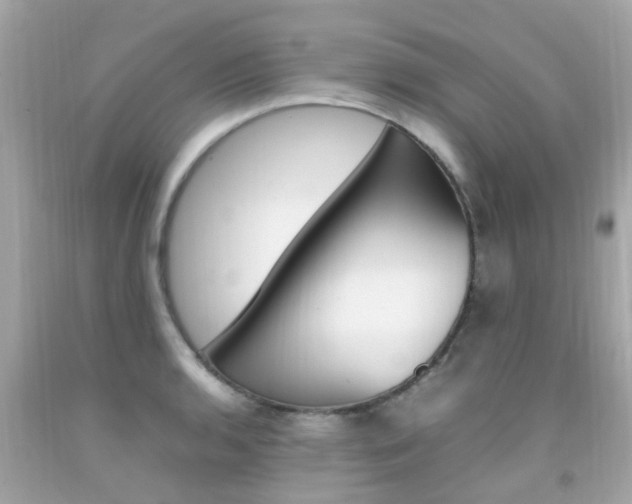 X0000092091136200709121120
