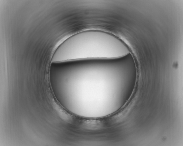 X0000092091137200709121120
