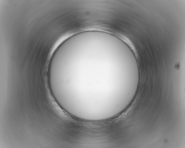 X0000092091138200709121120
