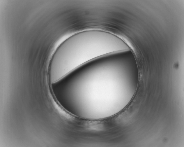 X0000092091143200709121120
