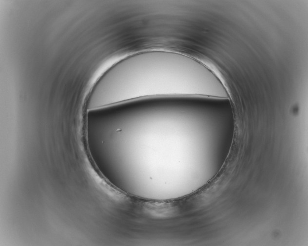 X0000092091147200709121120