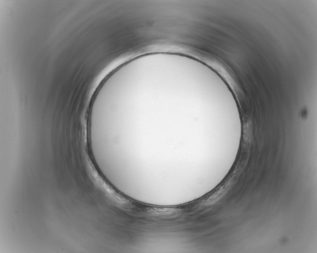 X0000092091150200709121121