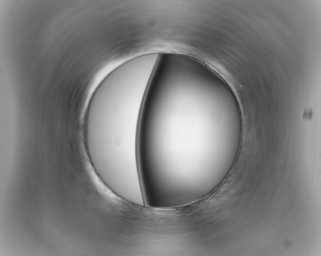 X0000092091152200709121121