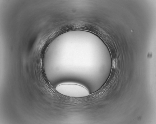 X0000092091155200709121120