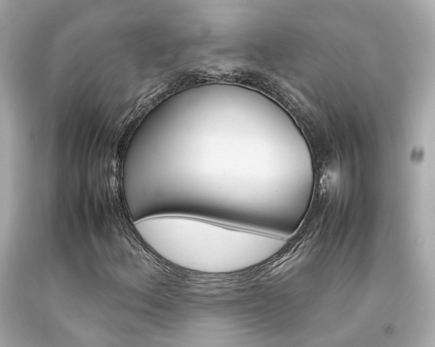 X0000092091156200709121120