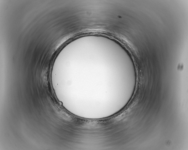 X0000092091162200709121120