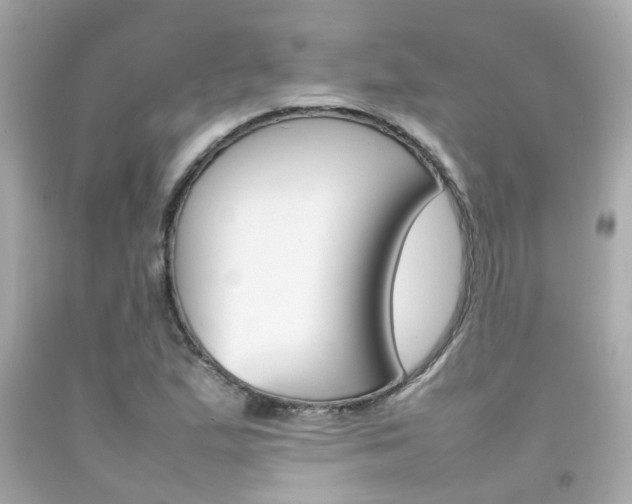 X0000092091167200709121120