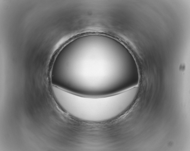X0000092091168200709121120