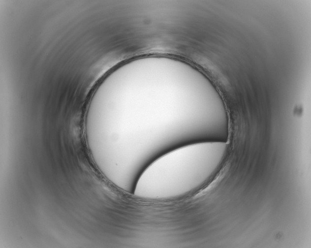 X0000092091170200709121120