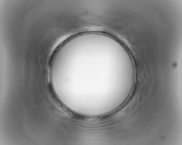X0000092091171200709121120
