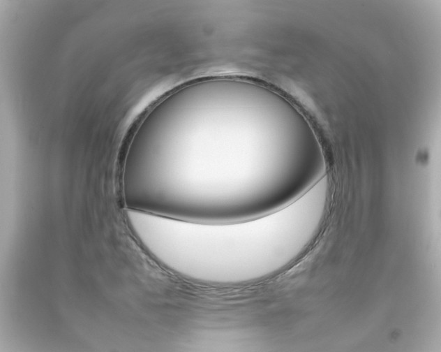 X0000092091173200709121120