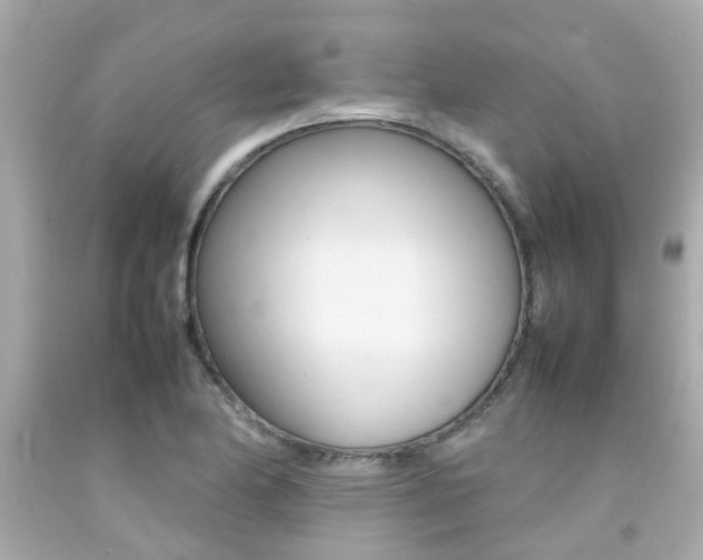 X0000092091174200709121120