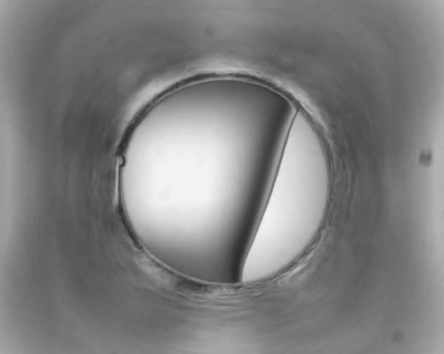 X0000092091175200709121119