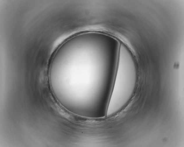 X0000092091176200709121119