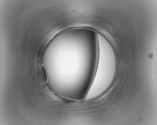 X0000092091177200709121119