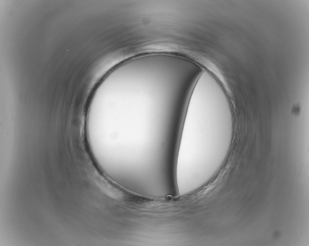 X0000092091179200709121119