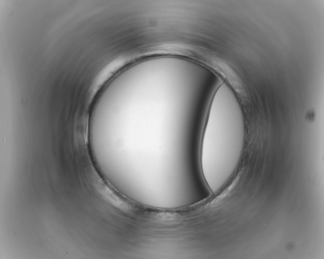 X0000092091180200709121119