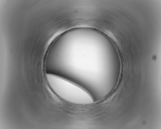 X0000092091181200709121119