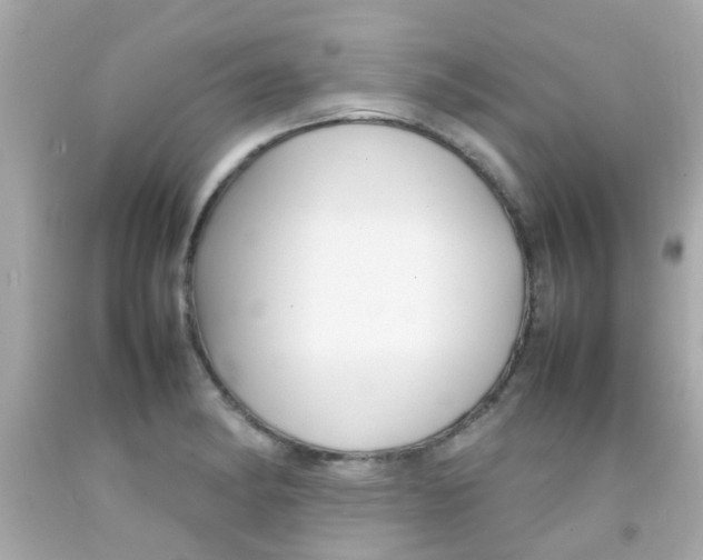 X0000092091182200709121119