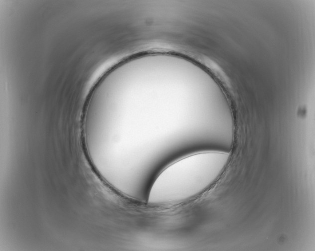 X0000092091183200709121119