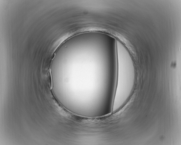 X0000092091185200709121119