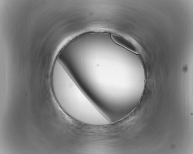 X0000092091191200709121119