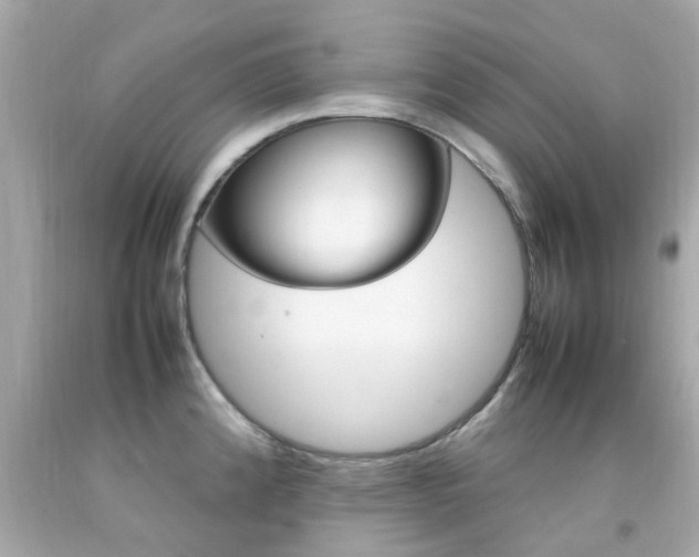 X0000092091192200709121119