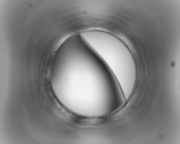 X0000092091193200709121119