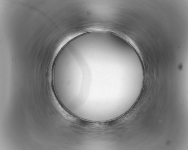 X0000092091195200709121119