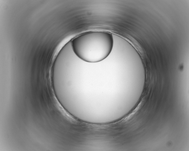 X0000092091196200709121119