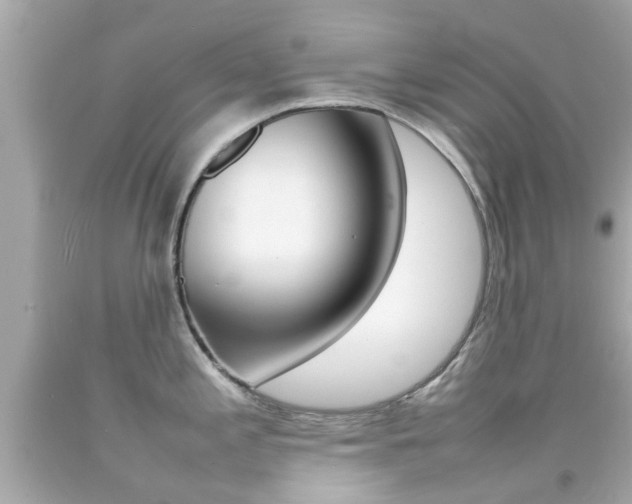 X0000092091197200709121119