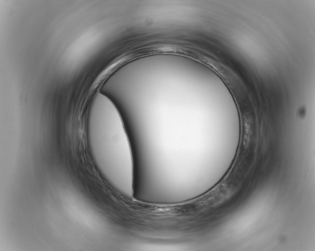 X0000092091198200709121119